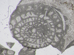 GKD1857_1