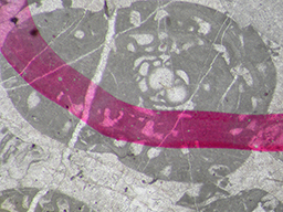 GKD1863_3