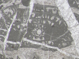 GKD1864_4