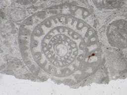 GKD1866_1