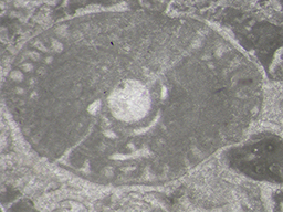GKD1866_3