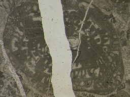 GKD1869_1