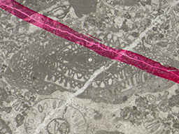 GKD1877_3