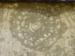GKD1880_2