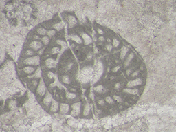 GKD1882_4
