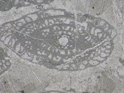 GKD1887_4