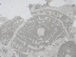 GKD1888_2
