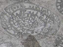 GKD1892_1
