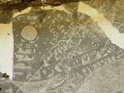 GKD1895_2