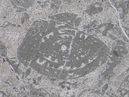 GKD1903_3