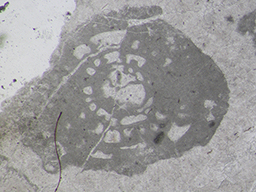 GKD1906_6