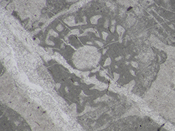 GKD1906_7