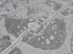 GKD1906_8