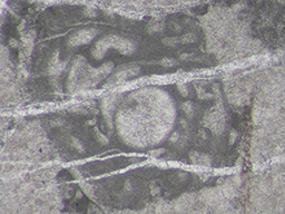 GKD1907_7