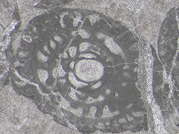 GKD1907_8