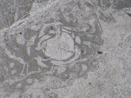 GKD1908_2