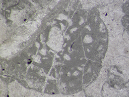 GKD1909_7