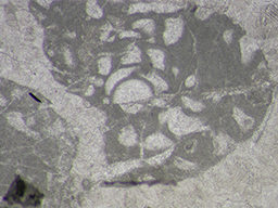 GKD1910_2