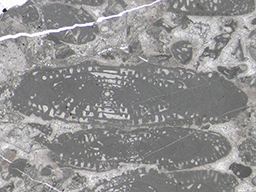 GKD1912_1
