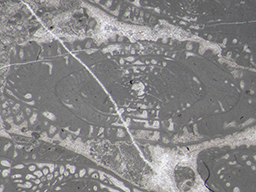 GKD1912_2