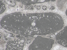 GKD1912_4