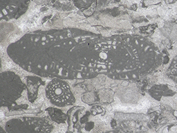 GKD1912_6