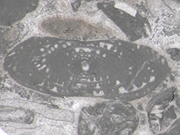 GKD1914_1