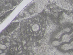 GKD882_6