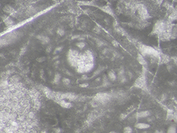 GKD883_1