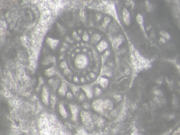 GKD892_5