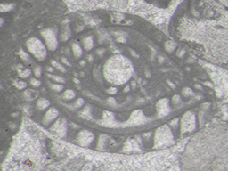 GKD897_5
